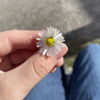 Juna_