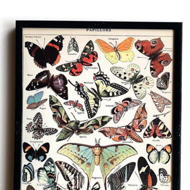 SCHWARZER RAHMEN MIT SCHMETTERLINGS PRINT