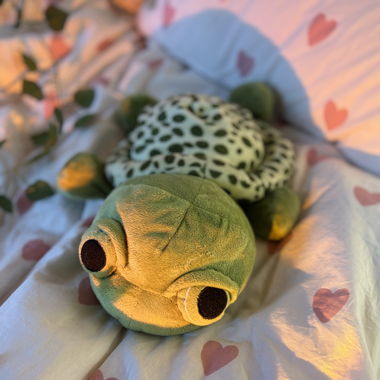 Schildkröte Kuscheltier 