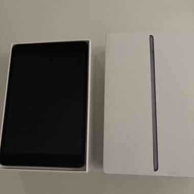iPad mini (5. Generation)