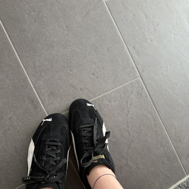 New Pumas