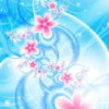 mausisvirtualcloset