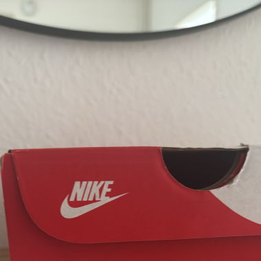 NIKE Dunk