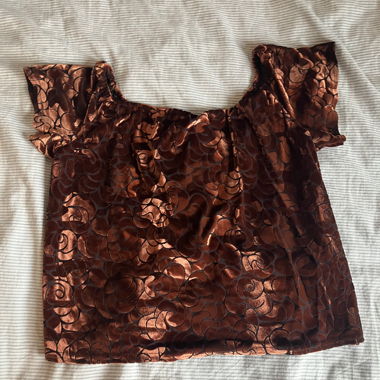 Brown Top