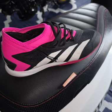 Chaussures de salle Adidas Predator