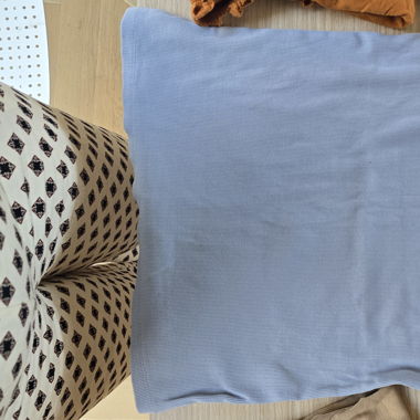 Beige or Blue Top
