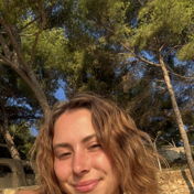 Amandinejoset