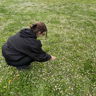 elileee