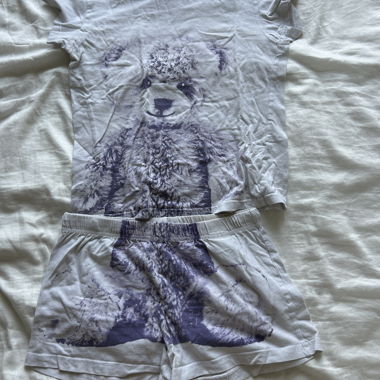 Completo con shorts orsetto
