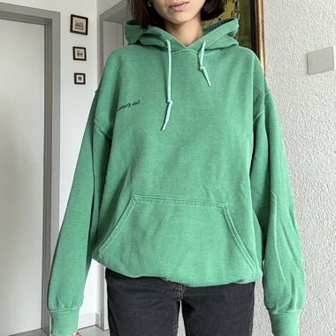 Hoodie Jets Frans Grün
