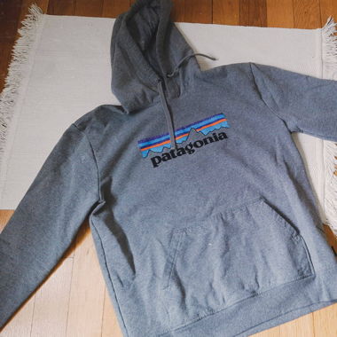 Patagonia sweatshirt