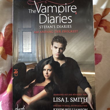 Libro: The Vampire Diaries, All'inizio dell'eternità
