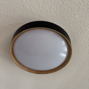 LED Ceiling Light