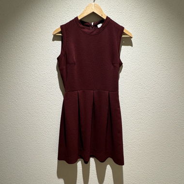 Sandro elegant dress!