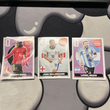 Panini FIFA Sticker Cards