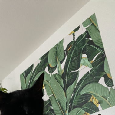 Wallpaper Banana Leaf Neutral White
