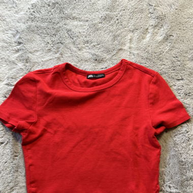 Gecroptes Shirt