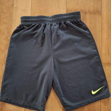 Nike Sport Shorts