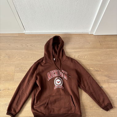 brauner Michigan Hoodie