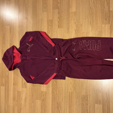 Ensemble PUMA