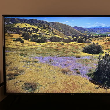 TV LG 43LJ594V