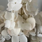 Flower2026