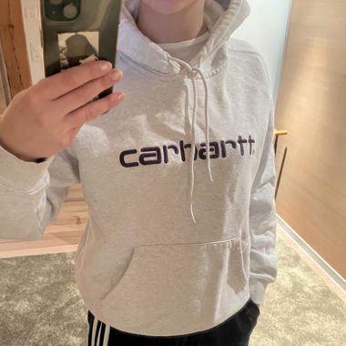 carhartt hoodie