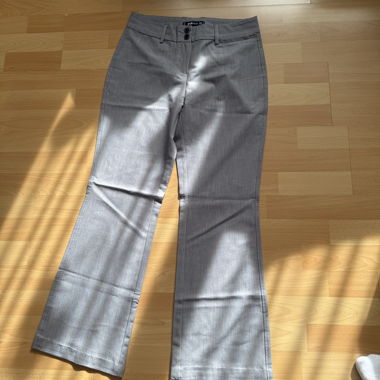 Pantaloni grigi da donna / pantaloni da completo