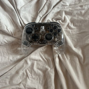 Nintendo Switch Controller