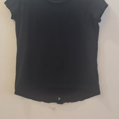 Zebra Women’s T-Shirt