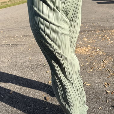 Mint Green Pleated Pants