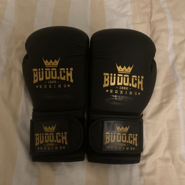 Büdo Boxing gloves 