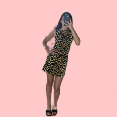 Leopard Print Dress