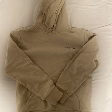 carhartt hoodie