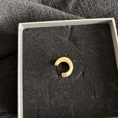 Gold Ring Earring (Earcuff)