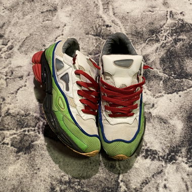 Adidas & Raf Simons Ozweego shoes 