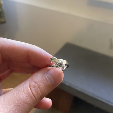 Anello Dino sottile (SPEDIZIONE GRATUITA)