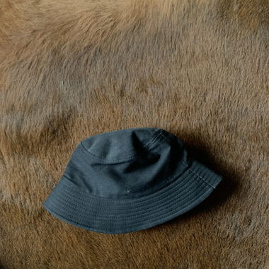 Bob noir
