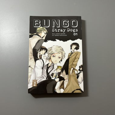 Bungo Stray Dogs Manga Band 1 (Deutsch)