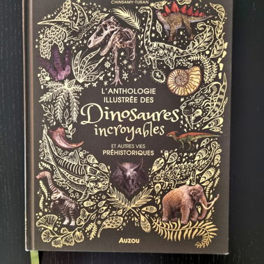 Livre sur les dinosaures 