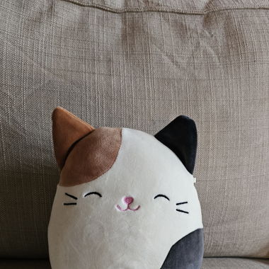 Kuschel Katze