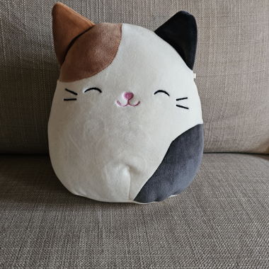 Kuschel Katze