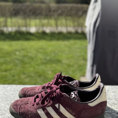 adidas gazelle burgundyred