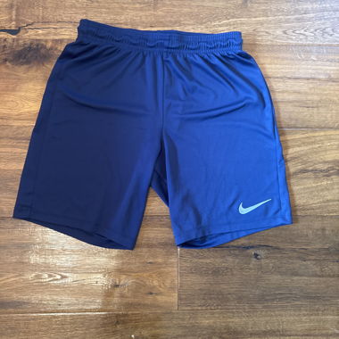 Nike sports shorts 