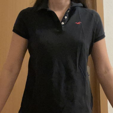 Polo Hollister 