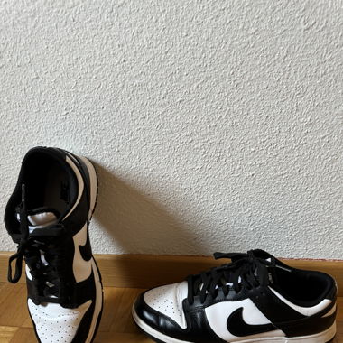 Pandas Nike shoes 