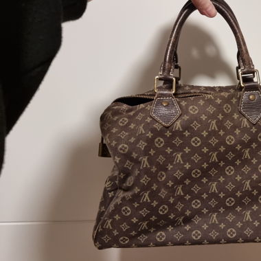 Louis Vuitton Speedy Lin
