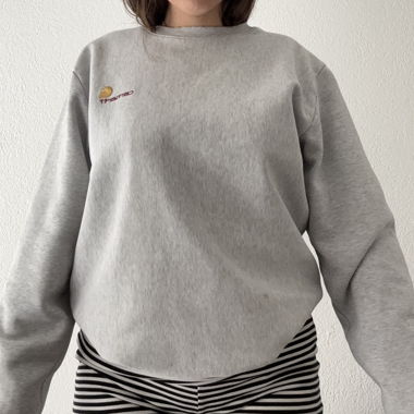 Felpa Carhartt grigia