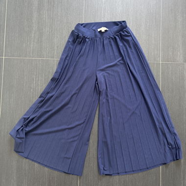 Blue Pleated Culotte Pants