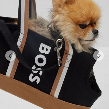 Borsa Tote BOSS Dog in Tela